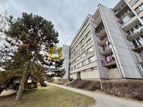 Prodej bytu 2+1, Strakonice - Strakonice I, Sídliště 1. máje, 56 m2