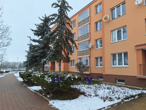 Pronájem bytu 1+1, Žatec, Stavbařů, 40 m2