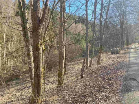 Prodej pozemku, Čachrov - Javorná, 10377 m2