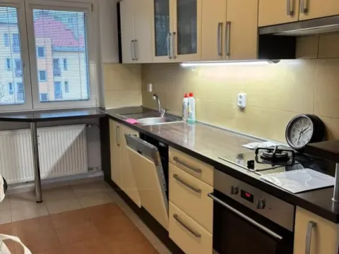 Pronájem bytu 2+kk, Ostrov, Šafaříkova, 51 m2