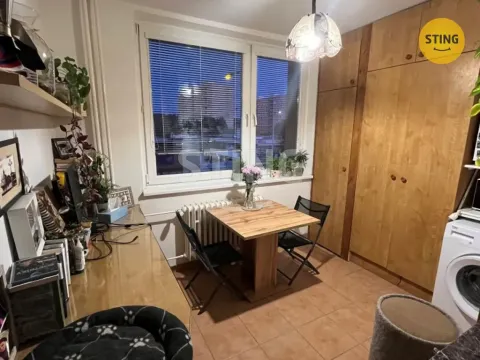 Pronájem bytu 1+1, Brno, Palackého třída, 40 m2