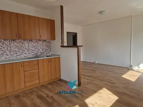 Pronájem bytu 3+kk, Bílina, Aléská, 65 m2