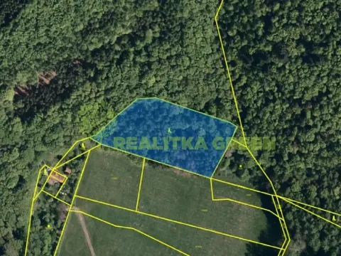 Prodej lesa, Zádveřice-Raková, 7363 m2