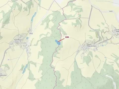 Dražba lesa, Zálezly, 4542 m2