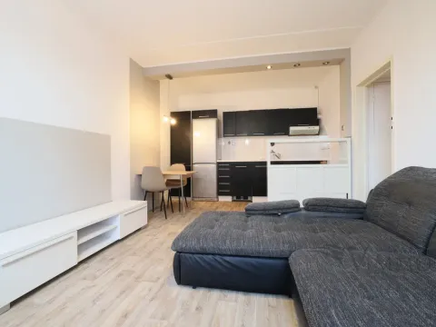 Pronájem bytu 2+kk, České Budějovice - České Budějovice 2, M. Chlajna, 40 m2