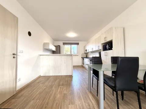 Pronájem bytu 3+kk, Staré Sedliště, 80 m2