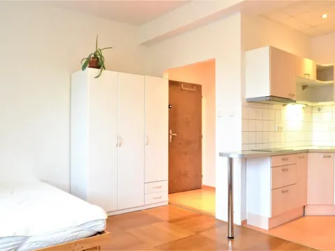 Pronájem bytu 1+kk, Brno - Veveří, Žižkova, 25 m2