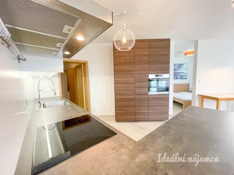 Pronájem bytu 1+kk, Brno - Královo Pole, Božetěchova, 61 m2