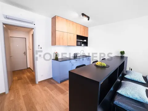 Pronájem bytu 1+kk, Olomouc, Edmunda Husserla, 43 m2