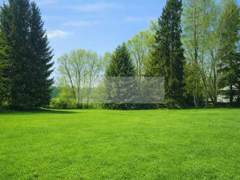 Prodej zahrady, Nová Paka, 1635 m2