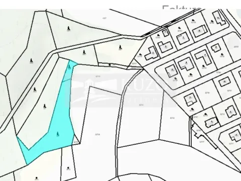 Prodej lesa, Jivina, 3138 m2