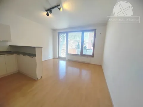 Pronájem bytu 1+kk, Praha - Hloubětín, Nepelova, 29 m2