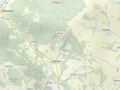 Dražba lesa, Zubrnice, 815 m2