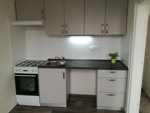 Prodej bytu 2+1, Ostrava - Zábřeh, Tarnavova, 45 m2