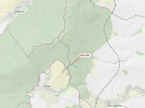 Dražba lesa, Nová Hradečná, 5079 m2