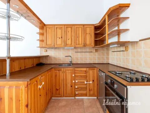 Pronájem bytu 1+1, Praha - Žižkov, Bořivojova, 49 m2