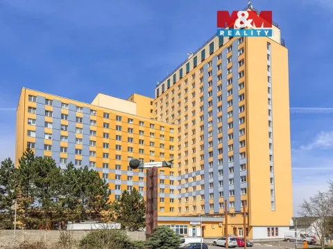 Pronájem bytu 1+kk, Praha, Štúrova, 19 m2