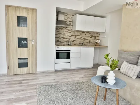 Pronájem bytu 2+kk, Most, Františka Malíka, 39 m2