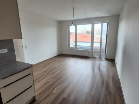 Pronájem bytu 2+kk, Praha - Kamýk, Hodkovická, 56 m2
