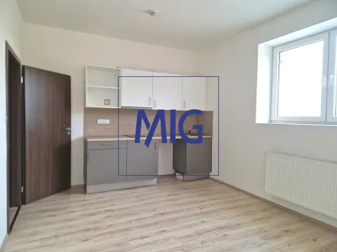 Pronájem bytu 2+kk, Syrovice, 48 m2