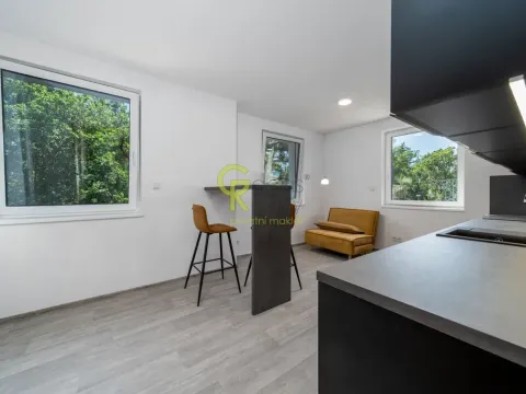 Prodej bytu 2+kk, Skorkov - Otradovice, 57 m2