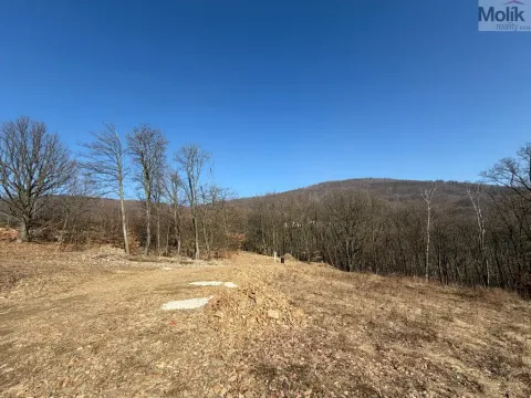 Prodej pozemku pro bydlení, Lom, Alšova, 2648 m2