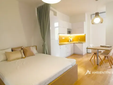 Pronájem bytu 1+kk, Brno, Kobližná, 54 m2