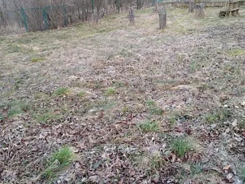 Pronájem zahrady, Dětkovice, 581 m2