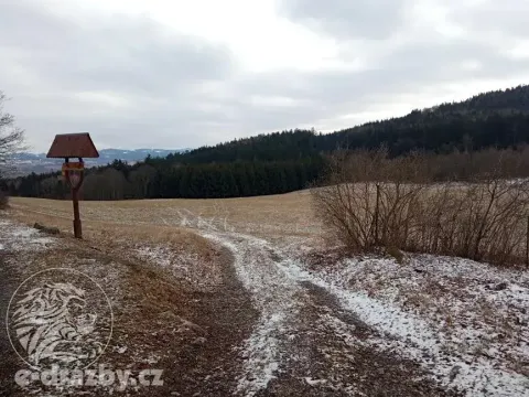 Dražba pole, Sušice, 4799 m2