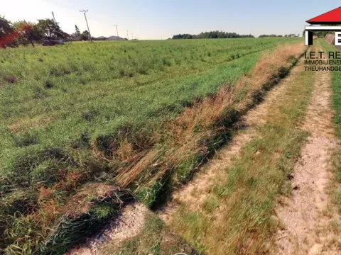 Prodej pozemku pro bydlení, Spálov, 1310 m2