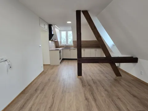 Pronájem bytu 1+kk, Sokolov, Josefa Kajetána Tyla, 36 m2