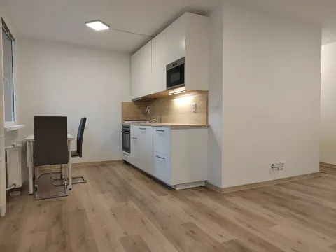 Pronájem bytu 1+1, Most, Brněnská, 38 m2