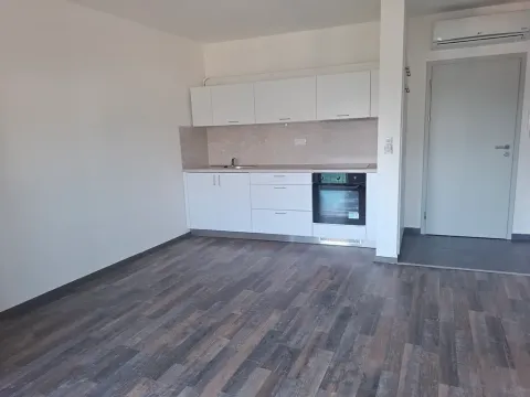 Pronájem bytu 2+kk, Brno, Vážného, 40 m2
