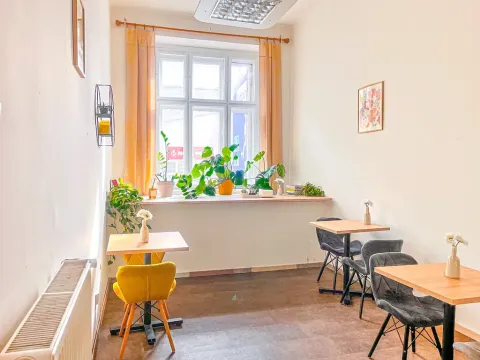 Pronájem obchodního prostoru, Mladá Boleslav, tř. Václava Klementa, 60 m2