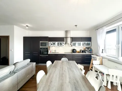 Pronájem bytu 3+kk, Brno, Čeňka Růžičky, 103 m2