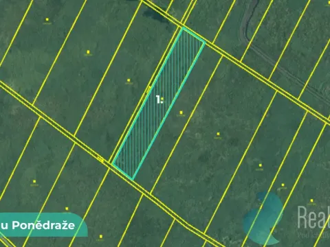 Prodej podílu 1/2 pole, Záblatí, 4195 m2