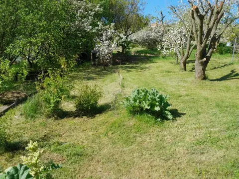 Pronájem zahrady, Běloky, 376 m2