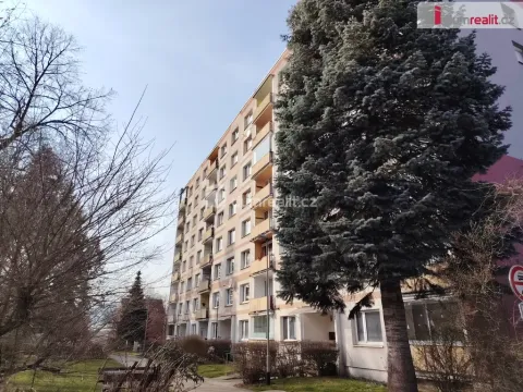 Pronájem bytu 1+kk, Děčín - Děčín III-Staré Město, Jezdecká, 19 m2