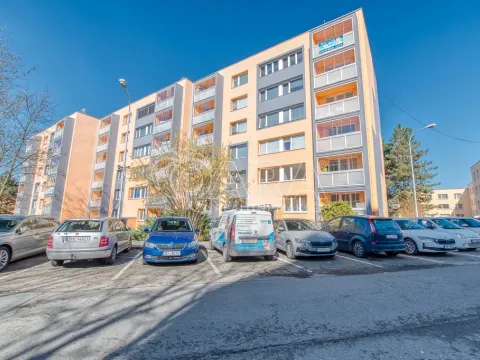 Prodej bytu 1+1, Frýdek-Místek - Frýdek, K Hájku, 36 m2