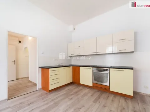 Pronájem bytu 1+kk, České Budějovice - České Budějovice 3, Skuherského, 42 m2