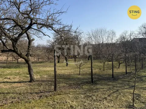 Prodej sadu/vinice, Miroslavské Knínice, 4555 m2