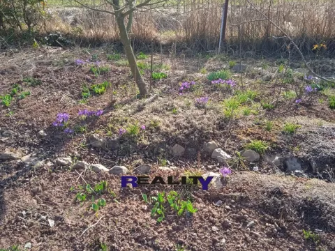 Pronájem zahrady, Kryry, 367 m2