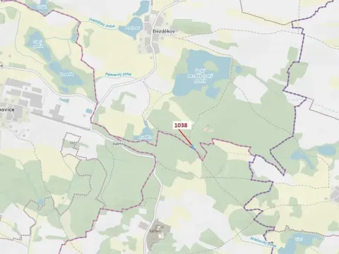 Dražba lesa, Hradiště, 1028 m2