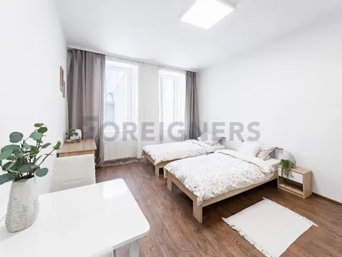 Pronájem bytu 1+kk, Brno, Bratislavská, 25 m2