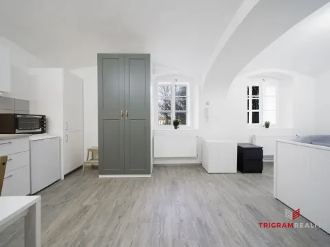 Pronájem bytu 1+kk, Hradec Králové, Dlouhá, 25 m2