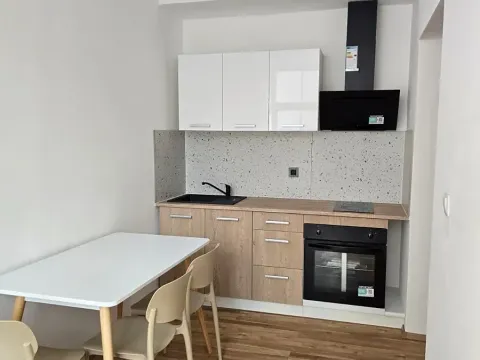 Pronájem bytu 1+1, Praha - Braník, Mezivrší, 55 m2