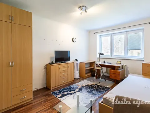 Pronájem bytu 2+kk, Praha, Novorossijská, 35 m2
