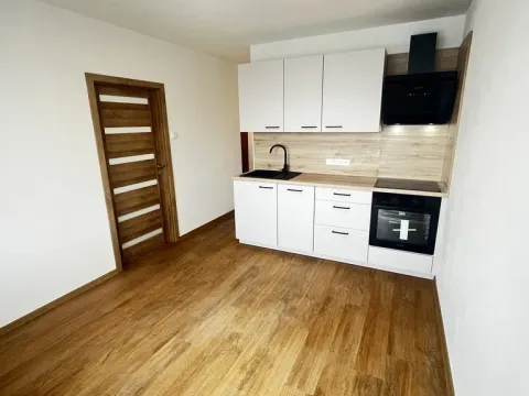 Prodej bytu 1+1, Litoměřice - Pokratice, Revoluční, 35 m2