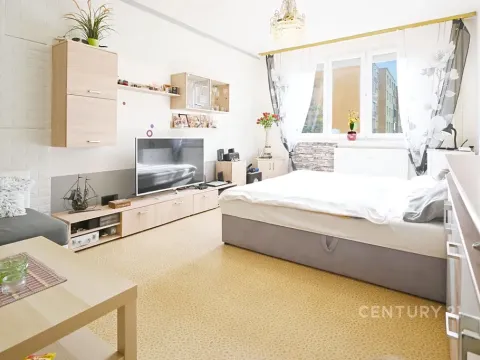 Prodej bytu 1+1, Žatec, Lípová, 40 m2