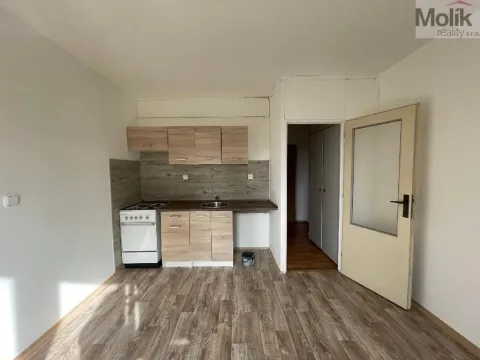 Pronájem bytu 1+1, Litvínov - Horní Litvínov, B. Němcové, 35 m2